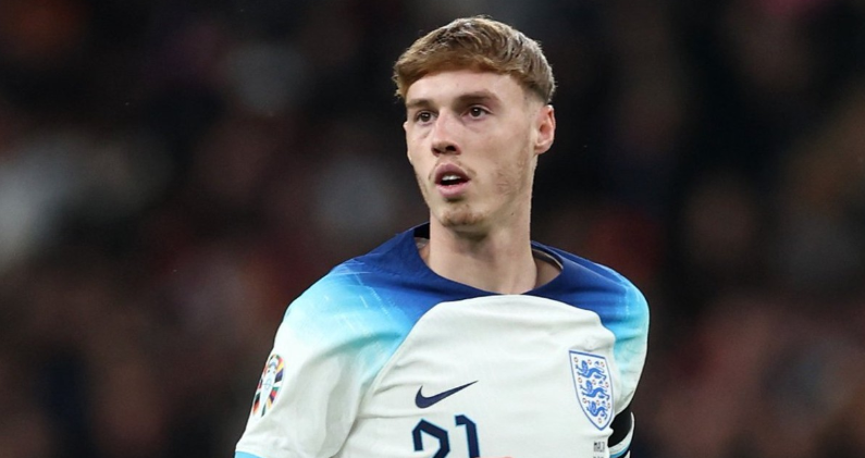 球队将逐渐 球队将逐渐