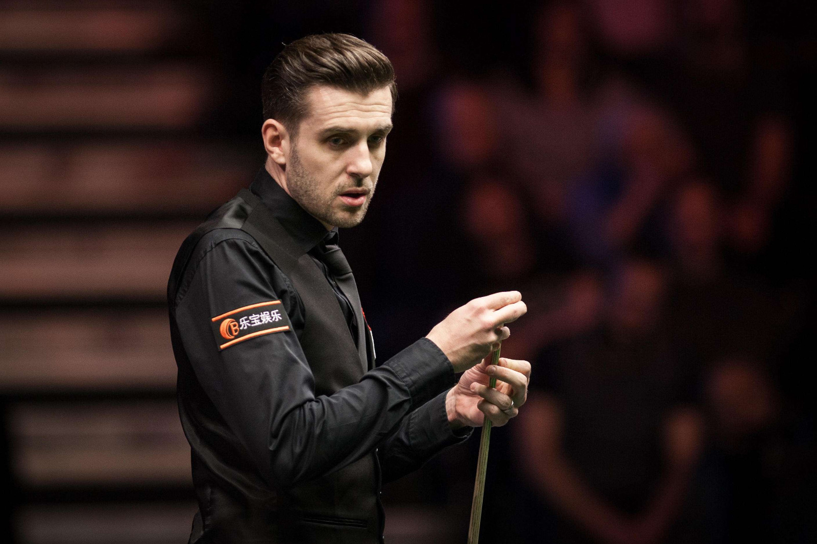 了各种场地 了各种场地