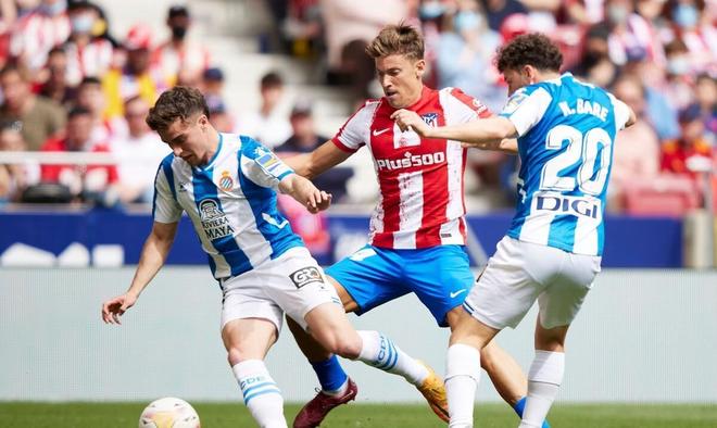 与资格等多 与资格等多