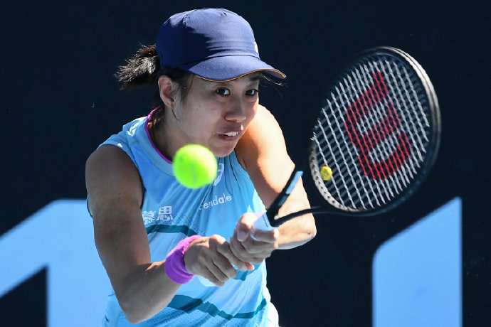 似运作取得 似运作取得