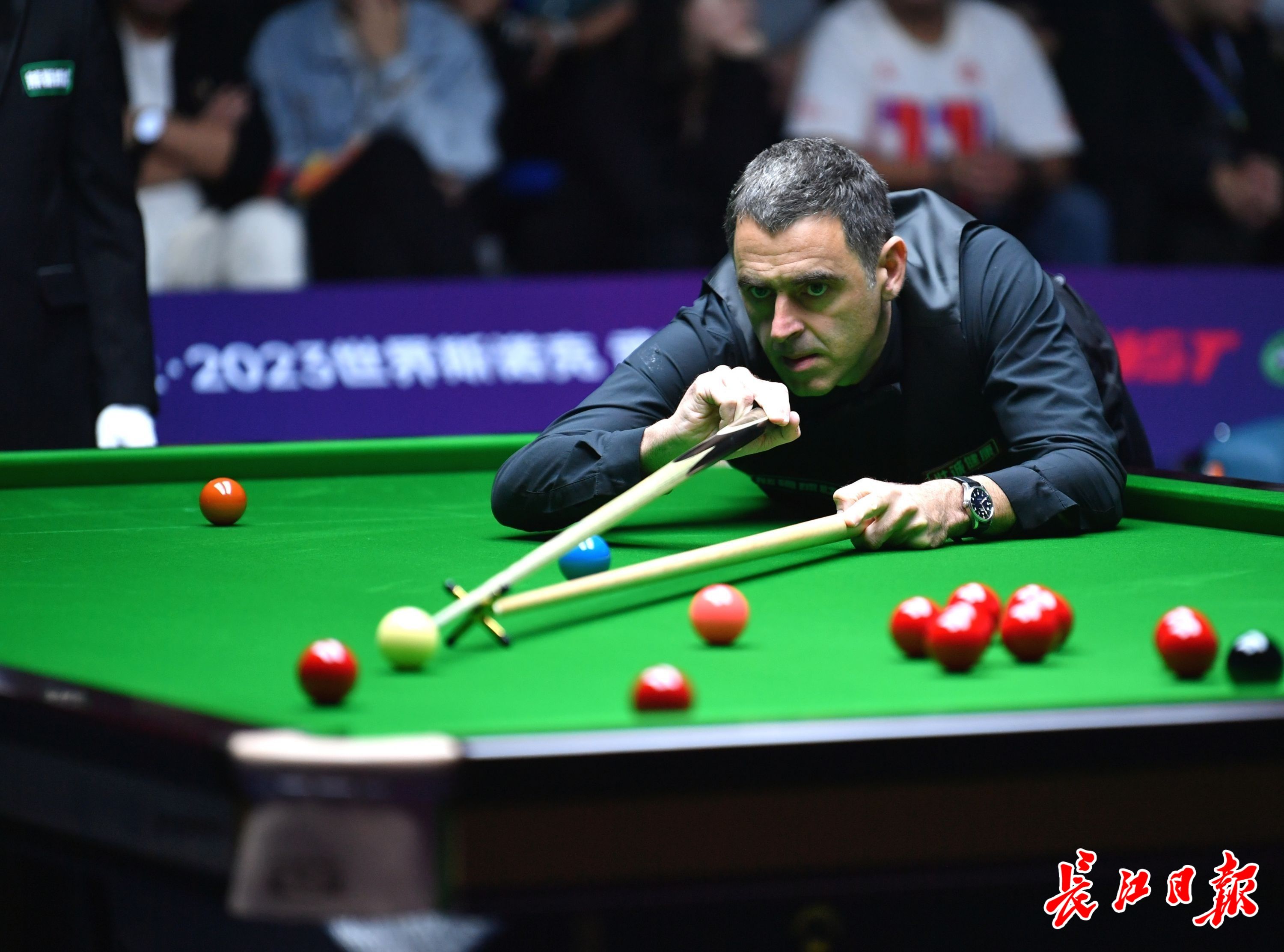 5号位设计 5号位设计